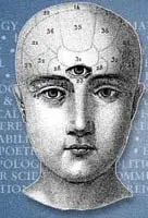 Decalcifiere Si Activare Glanda Pineala Decalcifiere Si Activare Glanda Pineala