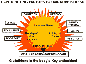 Ce Este Glutationul Si Care Este Rolul Lui In Organismul Nostru? Glutation Antioxidant