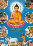 Citat Buddha - Kalamn Sutra