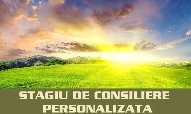 STAGIU DE CONSILIERE PERSONALIZATA