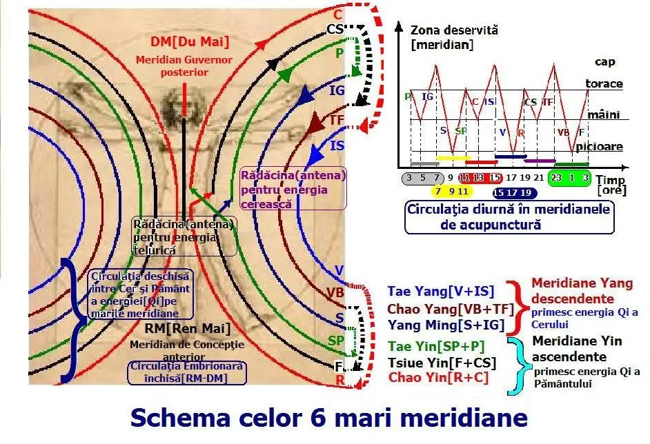 Meridianele Energetice Si Importanta Lor In Sanatatea Individului Meridianele Energetice Si Importanta Lor In Sanatatea Individului
