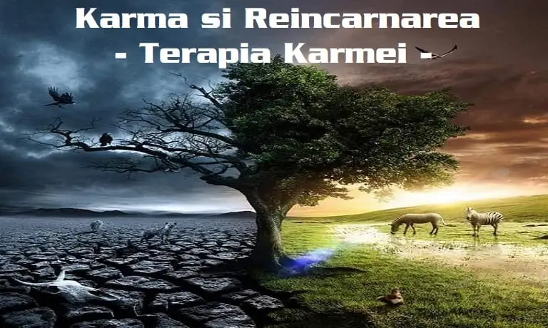 Prezentare Curs Karma Si Reincarnarea – Terapia Karmei Curs Karma Si Reincarnarea Terapia Karmei Anul I Acces 4 Lectii Luna 3