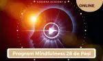 Program Mindfulness 28 de Pași - Abonament 4 Lecții / Lună