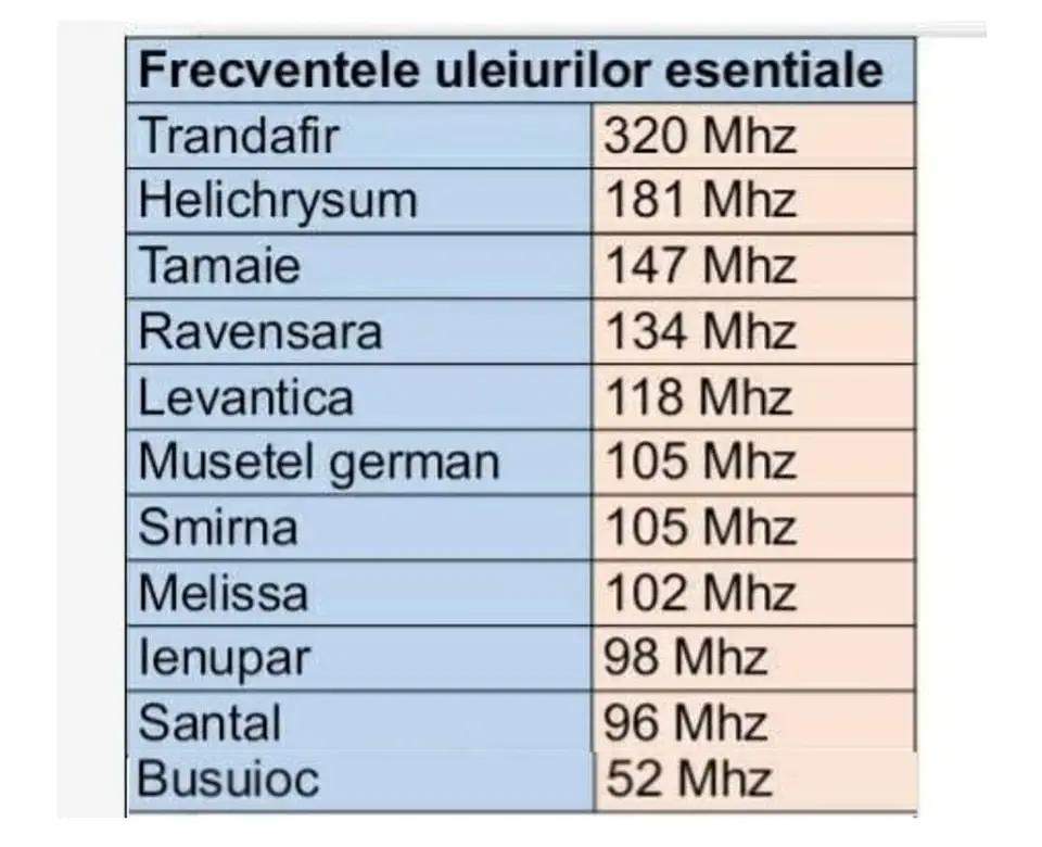 Academia Karanna© &Amp; Doterra Academia Karanna© &Amp; Doterra