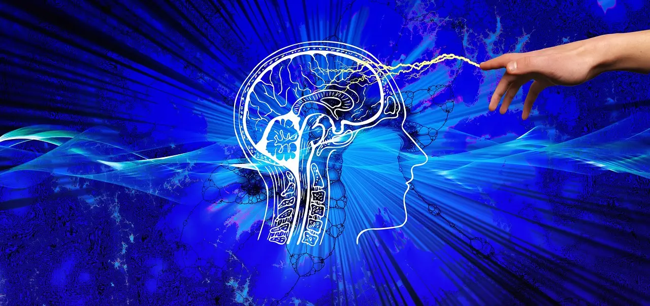 Creierul Și Trezirea Spirituală Creierul Și Trezirea Spirituală